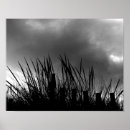 Suche nach strandhafer poster Gras