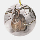 Suche nach lebewesen ornamente Natur