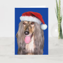 Suche nach afghanistan karten Afghanisch