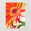 Suche nach roter gerbera postkarten Blumenreich