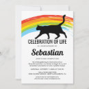Recherche de minou invitations Animal de compagnie