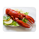 Suche nach hummer magnete Meeresfrüchte