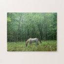 Recherche de étalon puzzles Pâturage