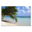 Suche nach strandbilder poster Tropisch