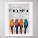 Suche nach nerd andere poster Vogelbeobachtung