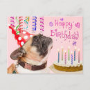 Recherche de carlin mignon invitations Carlins