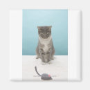 Recherche de chat et souris magnets Humour