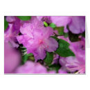 Suche nach duftende postkarten Blüten