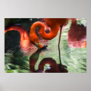 Recherche de vintage flamingo art Rose