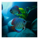 Suche nach aquarium kunst Fischkunst