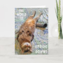 Suche nach köpfe karten Spaß