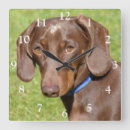 Suche nach tan wanduhren Hund