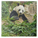 Suche nach bambus fliesen Panda