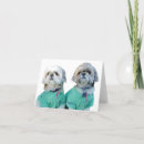 Suche nach shih tzu karten Haustiere