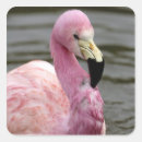 Suche nach für gefangene aufkleber Tier