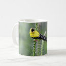 Recherche de canaris tasses Oiseau jaune