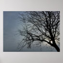 Suche nach mit blauen augen poster Winter