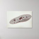 Suche nach organismen poster Biomedizinische illustrationen
