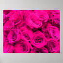 Recherche de roseraie posters Fleurs roses