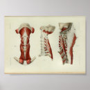 Suche nach 1844 poster Vintage