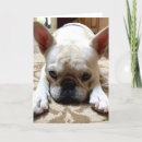 Suche nach leid karten Vergeben