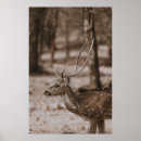 Recherche de cerf vintage posters Paysage