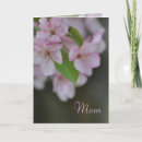 Suche nach apfelblüte karten Mother