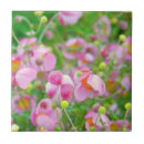 Recherche de tige photographie Floral