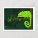 Recherche de lézard vert cartes postales Animaux