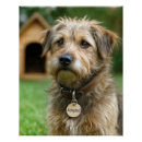 Suche nach hundehütte poster Haustier