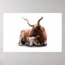 Recherche de longhorn du texas posters Ranch
