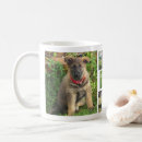 Recherche de animales tasses Animal familier