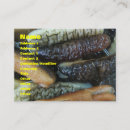 Recherche de concombre cartes visite Drôle