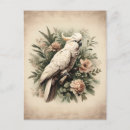 Recherche de botanique antique cartes postales Tropical