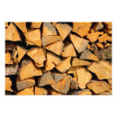Suche nach brennstoff kann poster Holzstapel