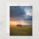 Suche nach stürmisch postkarten Sturm