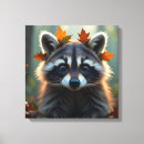 Suche nach raccoon leinwandbilder Tiere