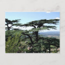 Suche nach südfrankreich postkarten Landschaft