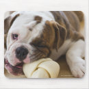 Suche nach jersey mousepads Tier