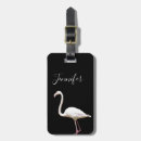 Recherche de photo accessoires voyage Tropical