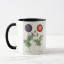 Suche nach flores tassen Botanisch