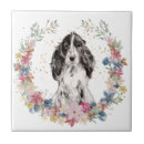 Recherche de cocker carreaux Animal
