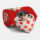 Recherche de chiwawa mignon Doux