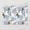 Recherche de arbre exotique cartes postales Oiseau