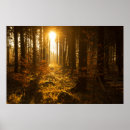 Suche nach herb poster Wald