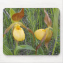 Recherche de pantoufles tapis souris Nature