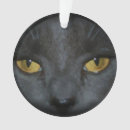 Recherche de chat gris ornements Beau