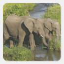 Suche nach afrikanische elefanten aufkleber Kenia