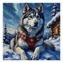 Suche nach alaskan malamute poster Winter