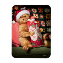Recherche de oeuf magnets Animal